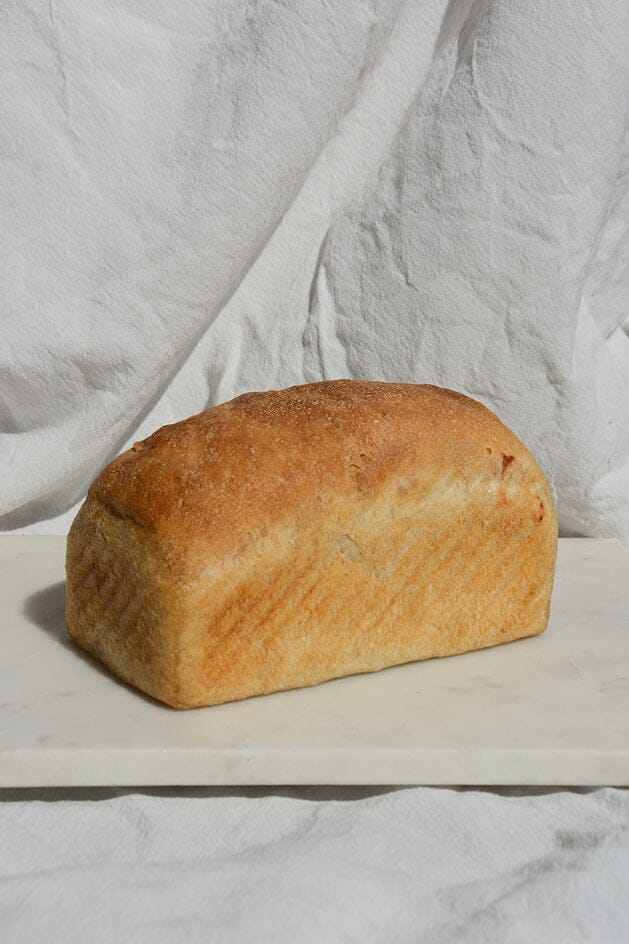 White Sandwich Loaf Bread The Daily Knead 