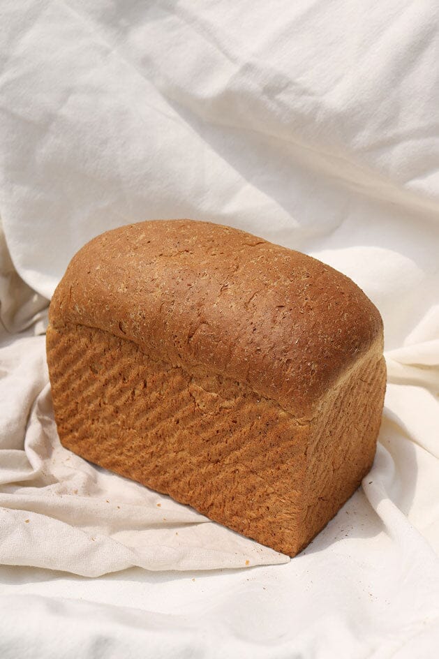 Whole Wheat Loaf Bread The Daily Knead 